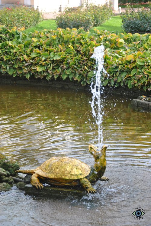 TORTUGA-FUENTE DORADA ESTAMQUES PALACIO DE PETERHOF