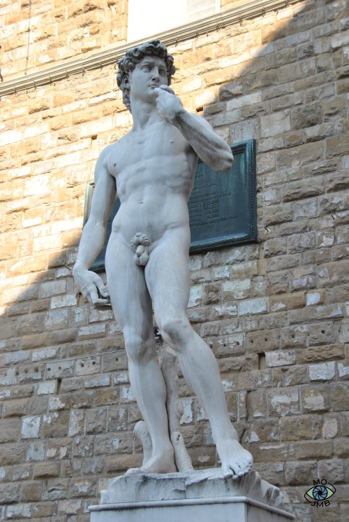 ESCULTURA DEL DAVID DE MIGUEL ÁNGEL