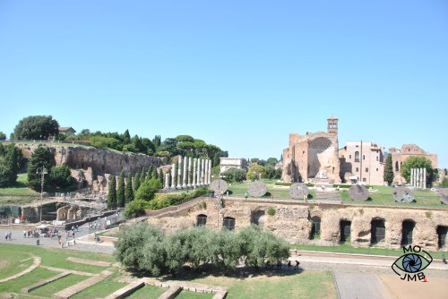 RUINAS DEL FORO ROMANO Y PALATINO