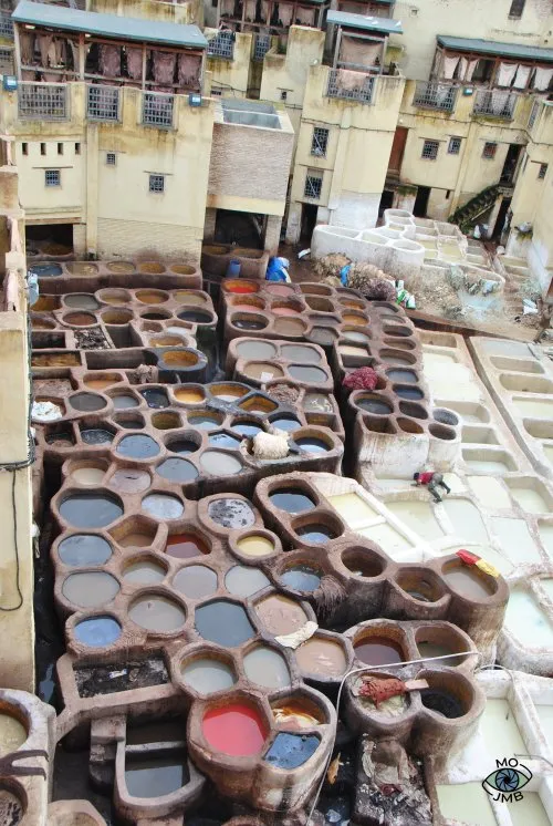 CURTIDURÍA CHOUARA EN FEZ