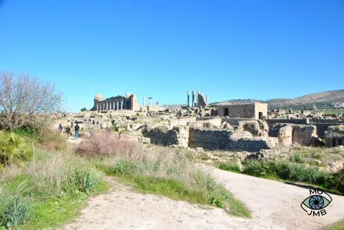 RUINAS DE VOLÚBILIS