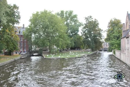 BIFURCACIÓN DE CANALES EN BRUJAS