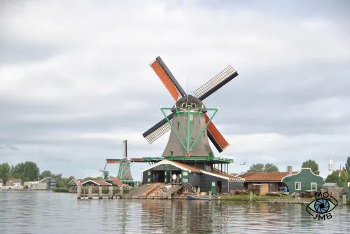 MOLINO DE VIENTO DE MADERA HET JONGE SCHAAP