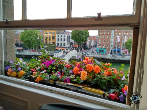 JARDINERA DEL IRISH DANCE PARTY CON VISTAS AL PUENTE HA'PENNY