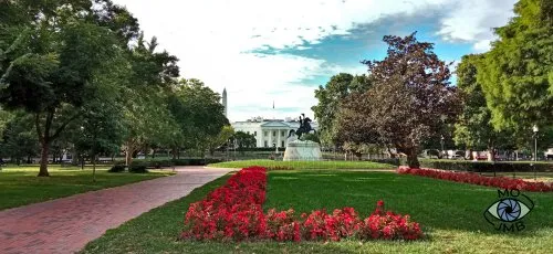 LA CASA BLANCA
