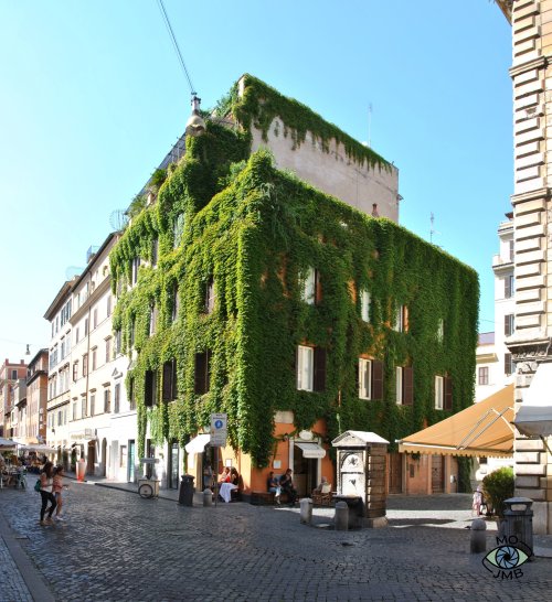 EDIFICIO DE HIEDRA
